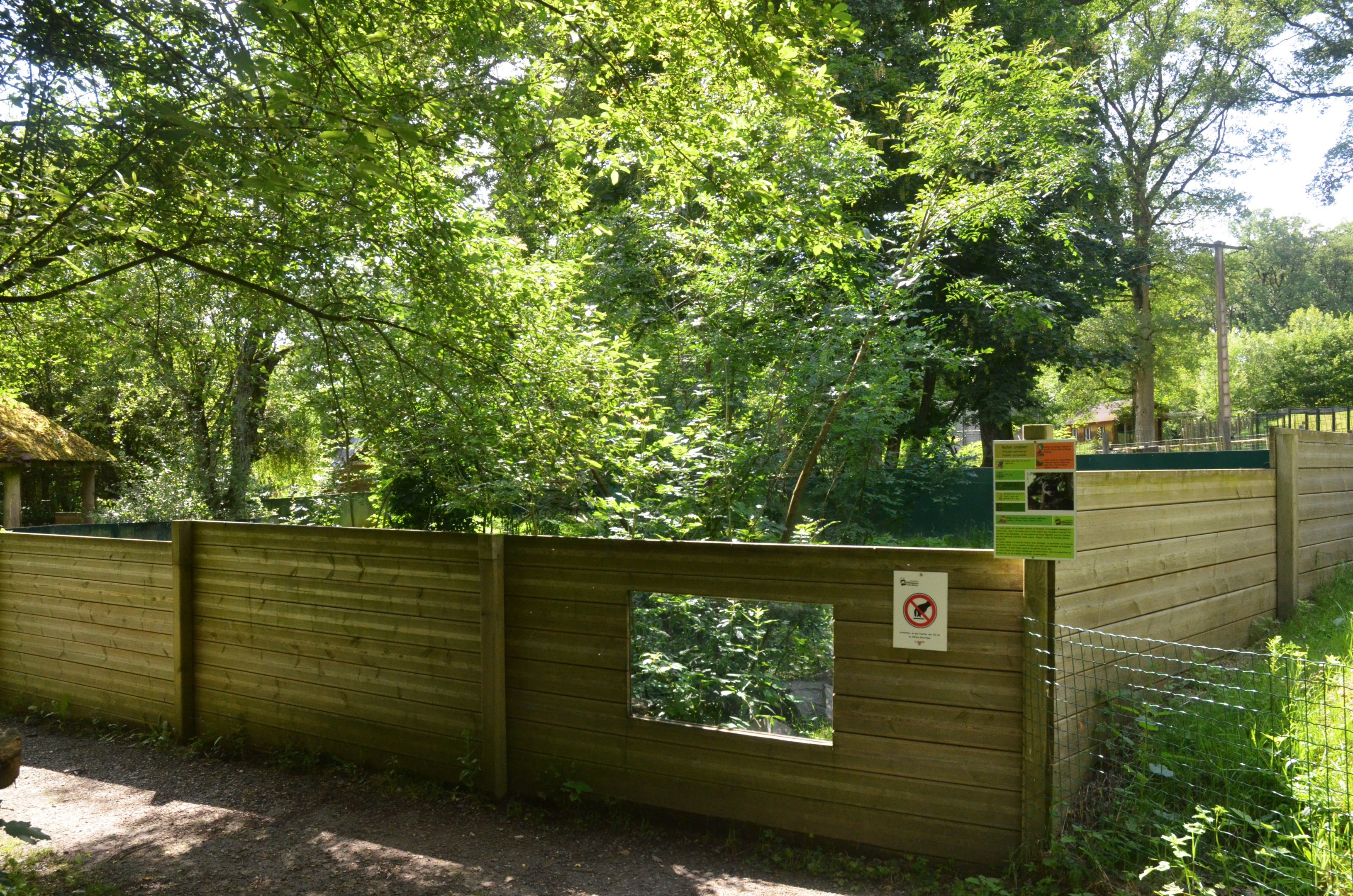 Crab-eating Raccoon Enclosure at Pescheray, 13/06/18