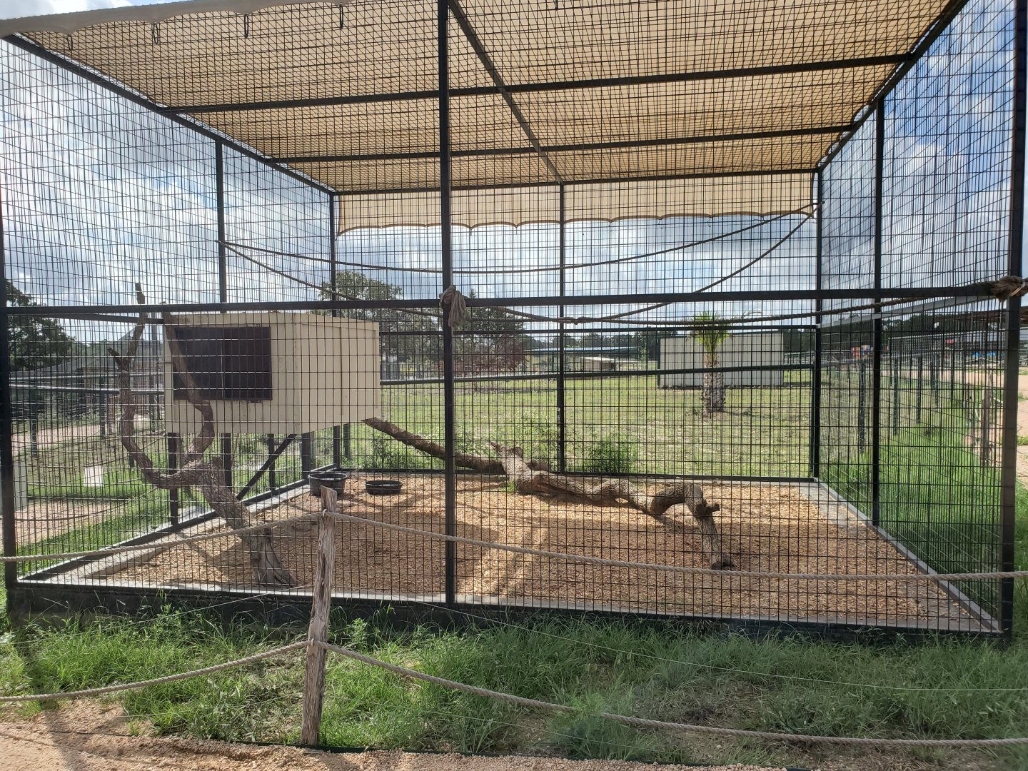 Crab-eating Raccoon Enclosure
