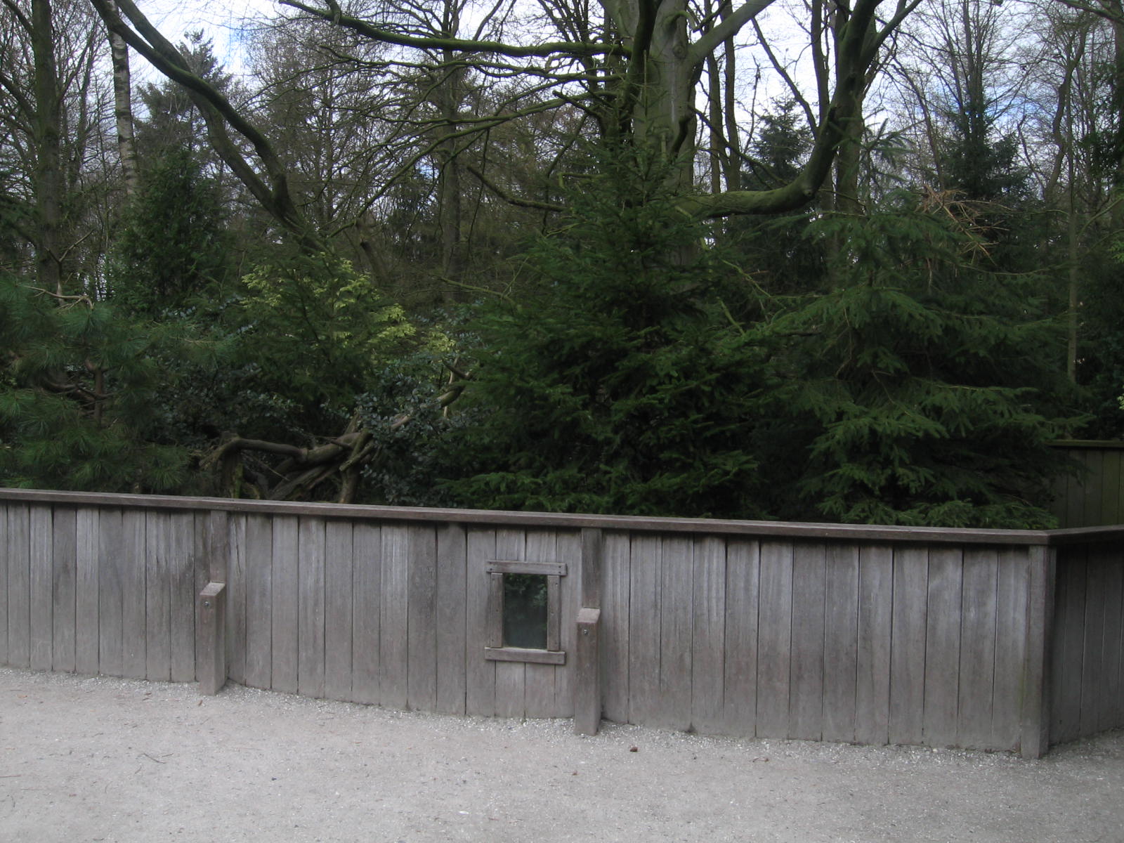 Crab eating raccoons