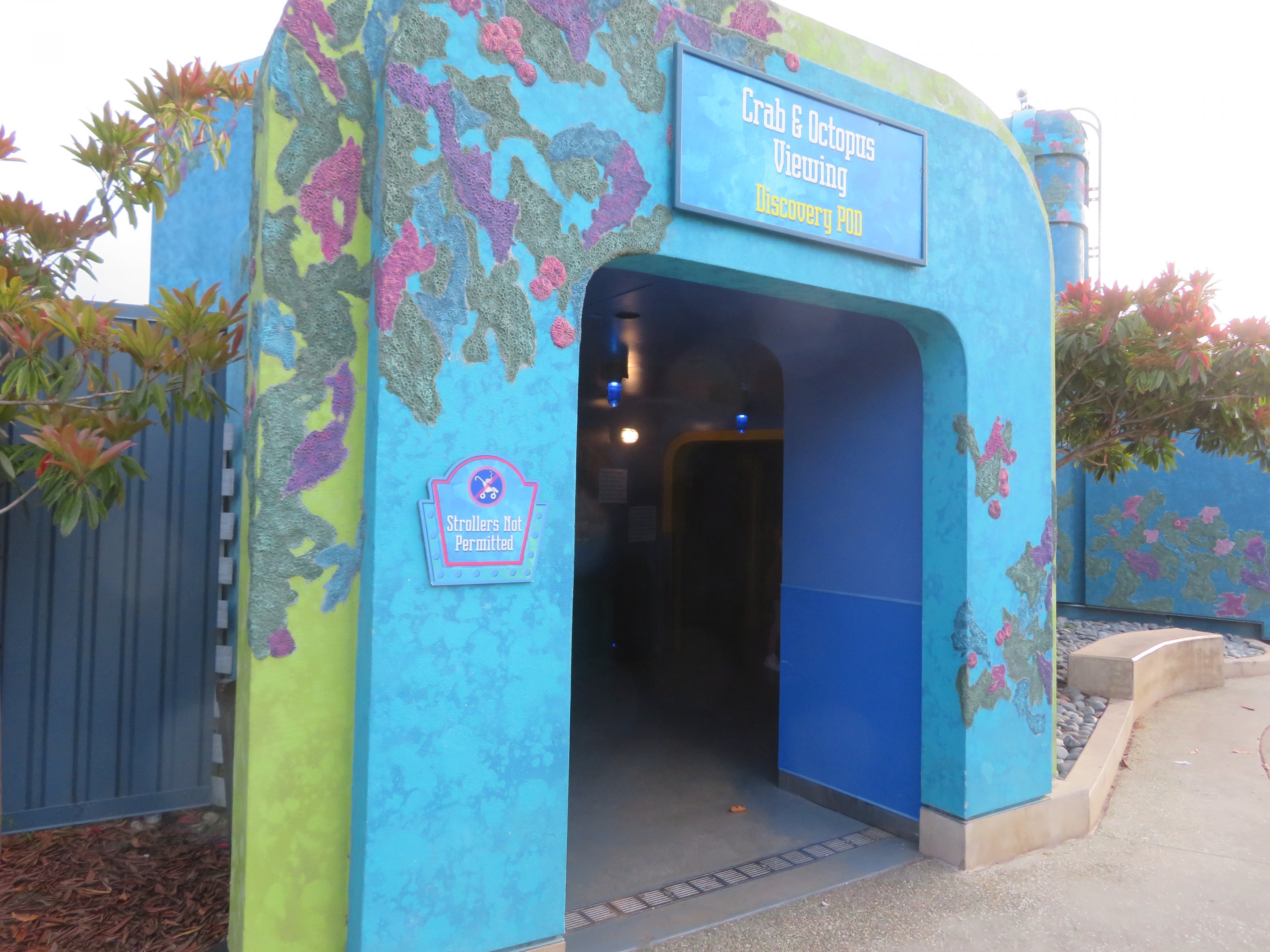 Crab & Octopus Aquarium