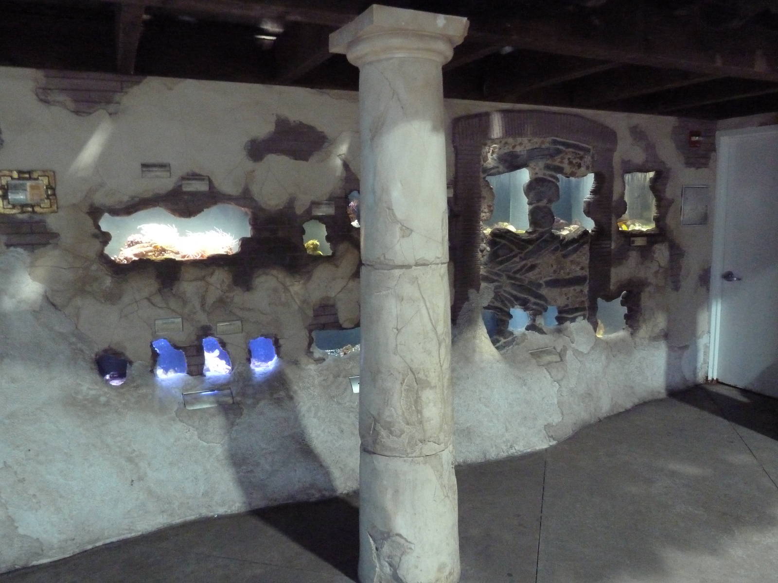 Crab Villa - Crustacean Exhibits