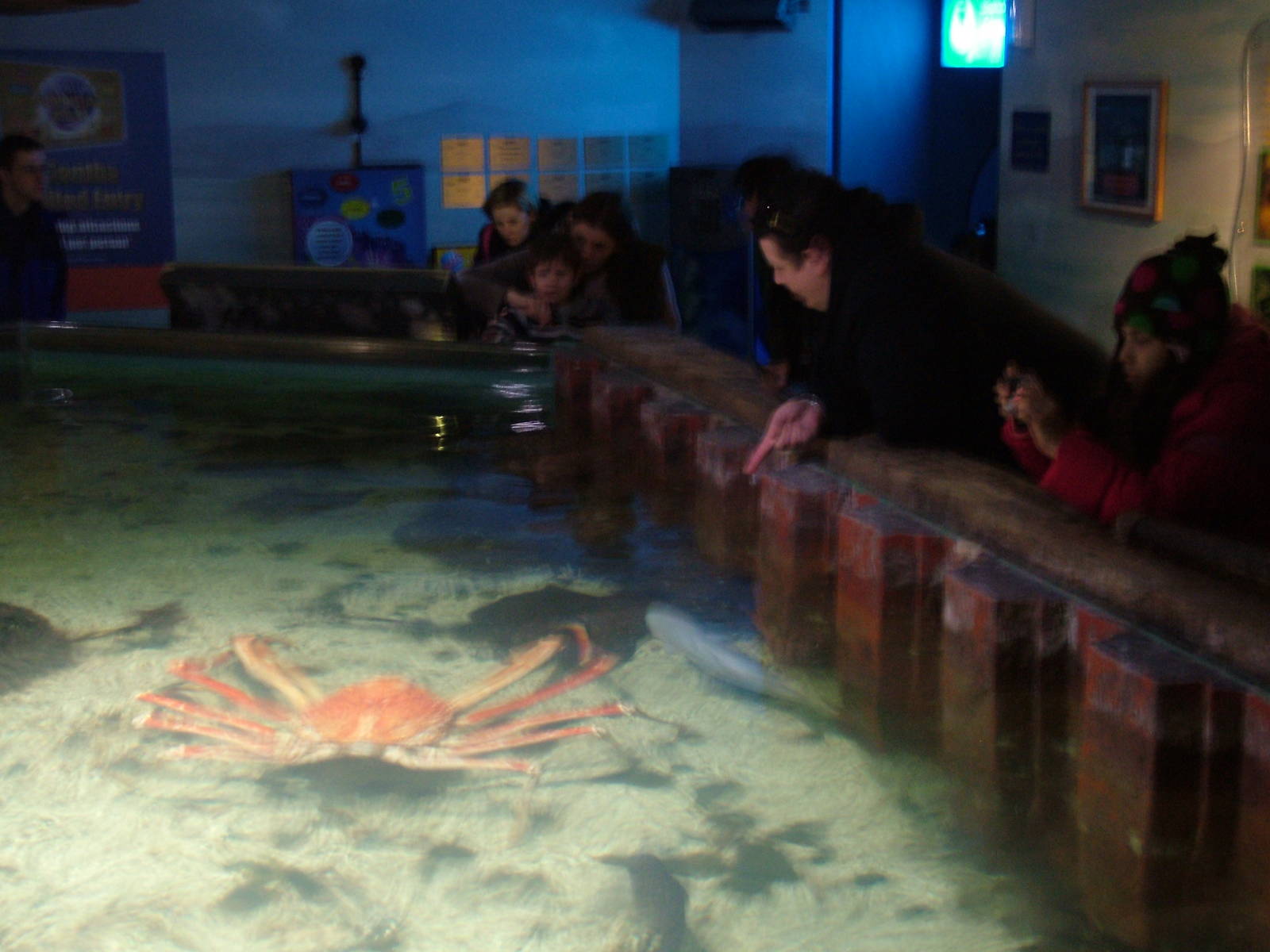Crabzilla at SeaLife Birmingham 28/02/10