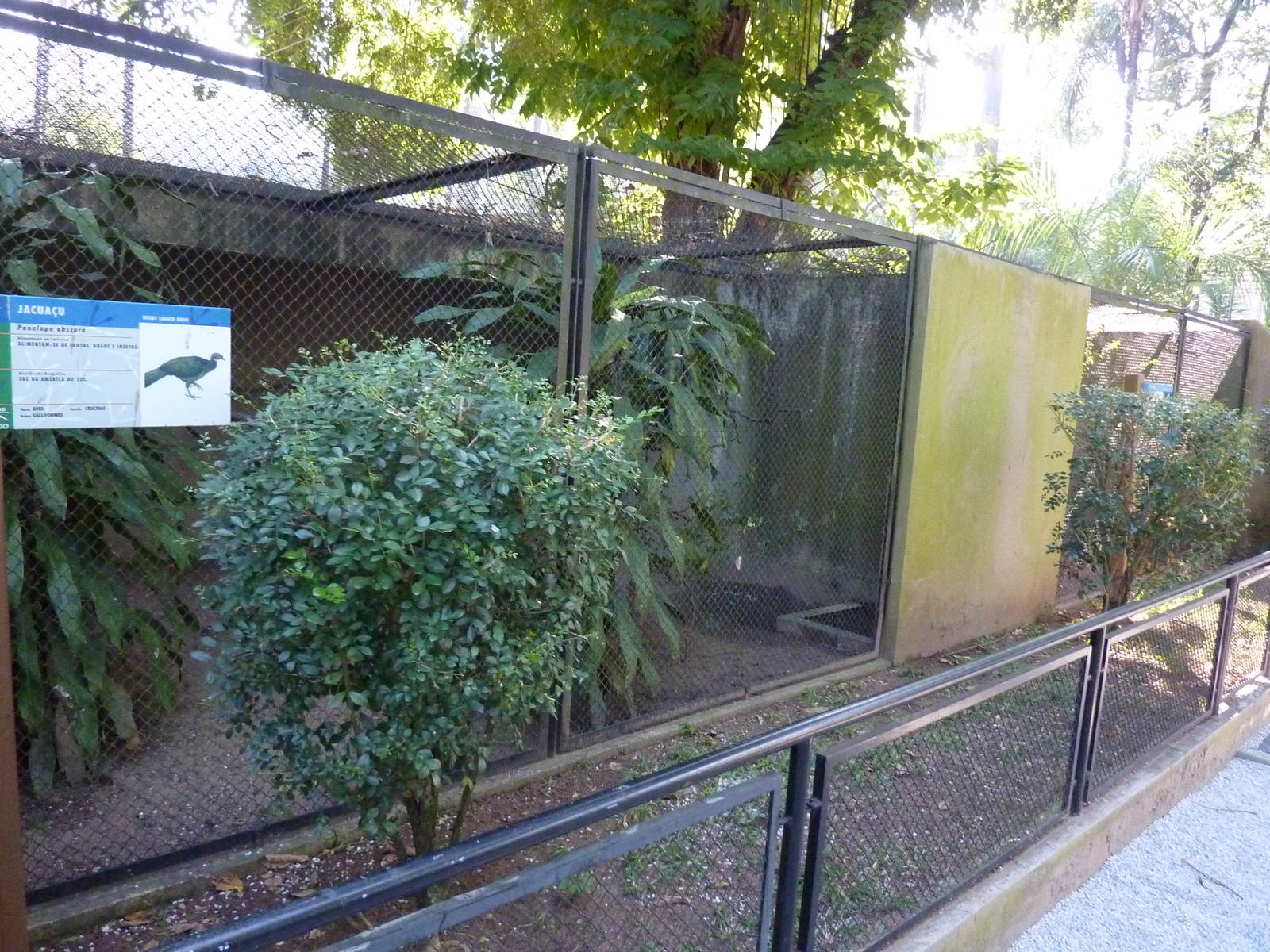 Cracid aviaries