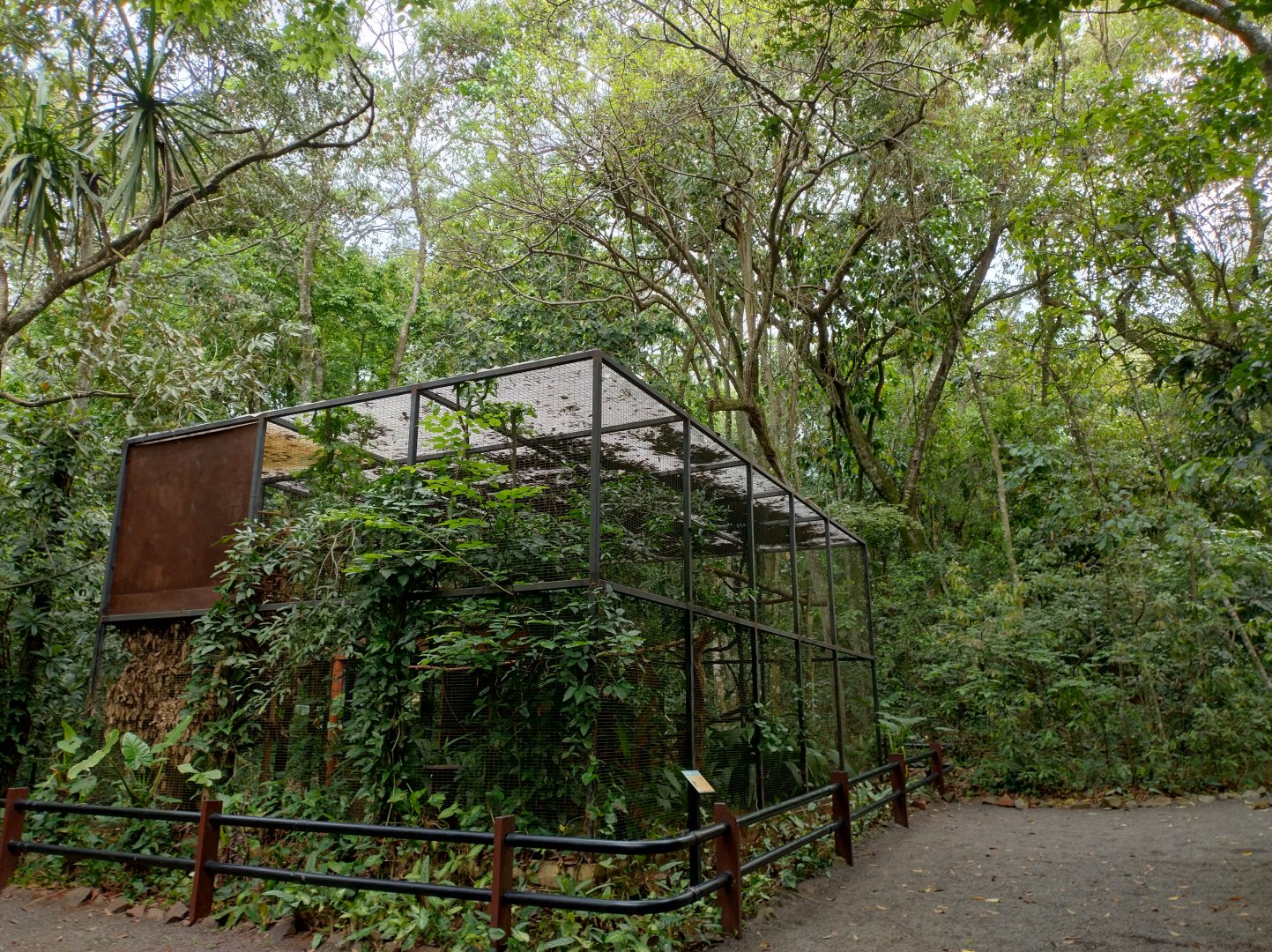 Cracids exhibit - RBBV (ZRRL)