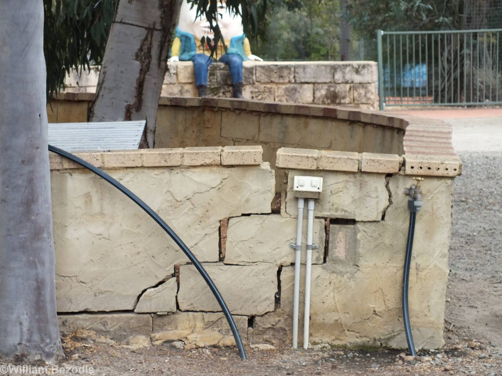 Cracking Wall of Rabbit Enclosure - Cohunu Koala Park