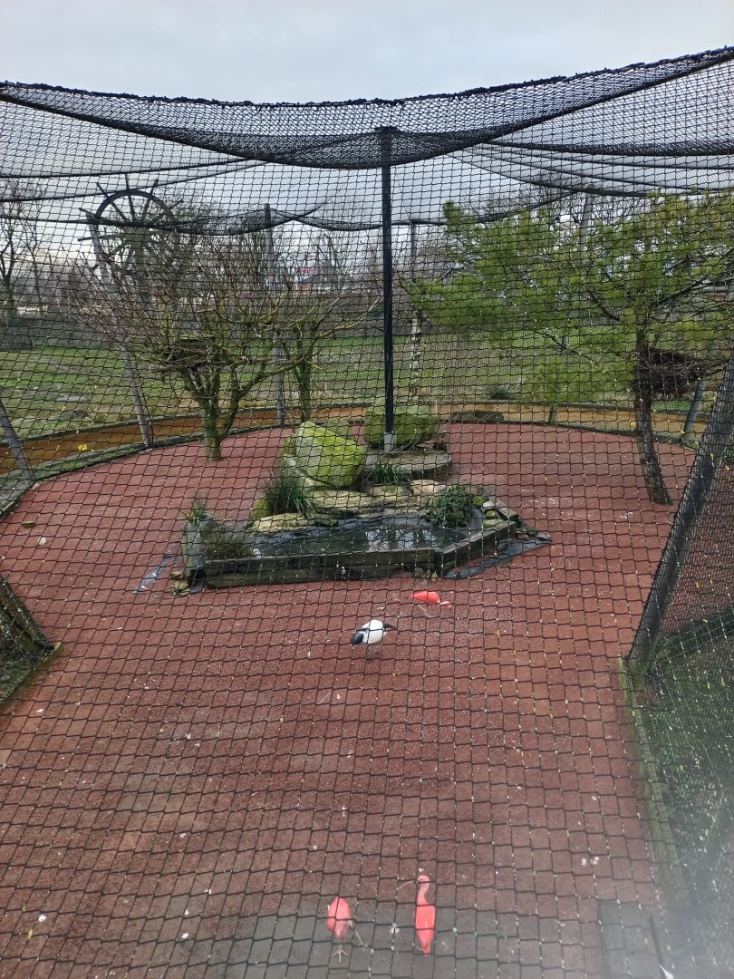 Crane and Ibis aviary