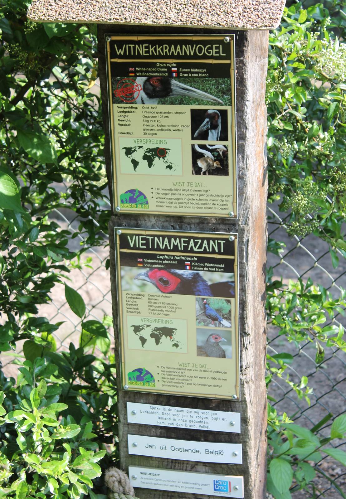 Crane and pheasant signs