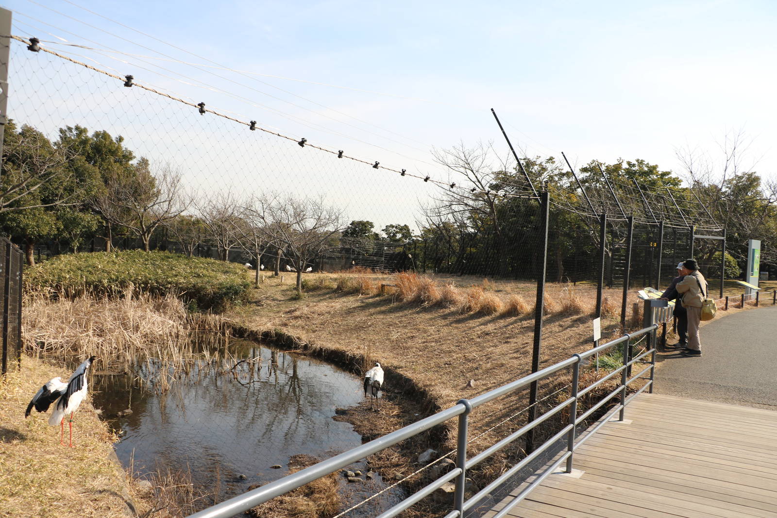 Crane and spoonbill aviary - Tokyo Sea Life Park, February 2016