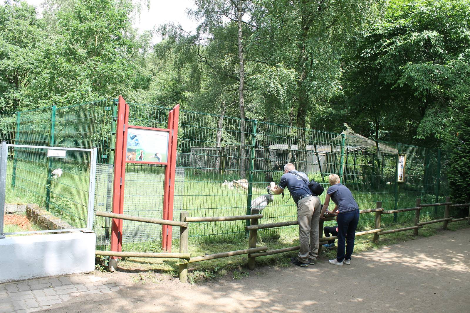 Crane and stork enclosure