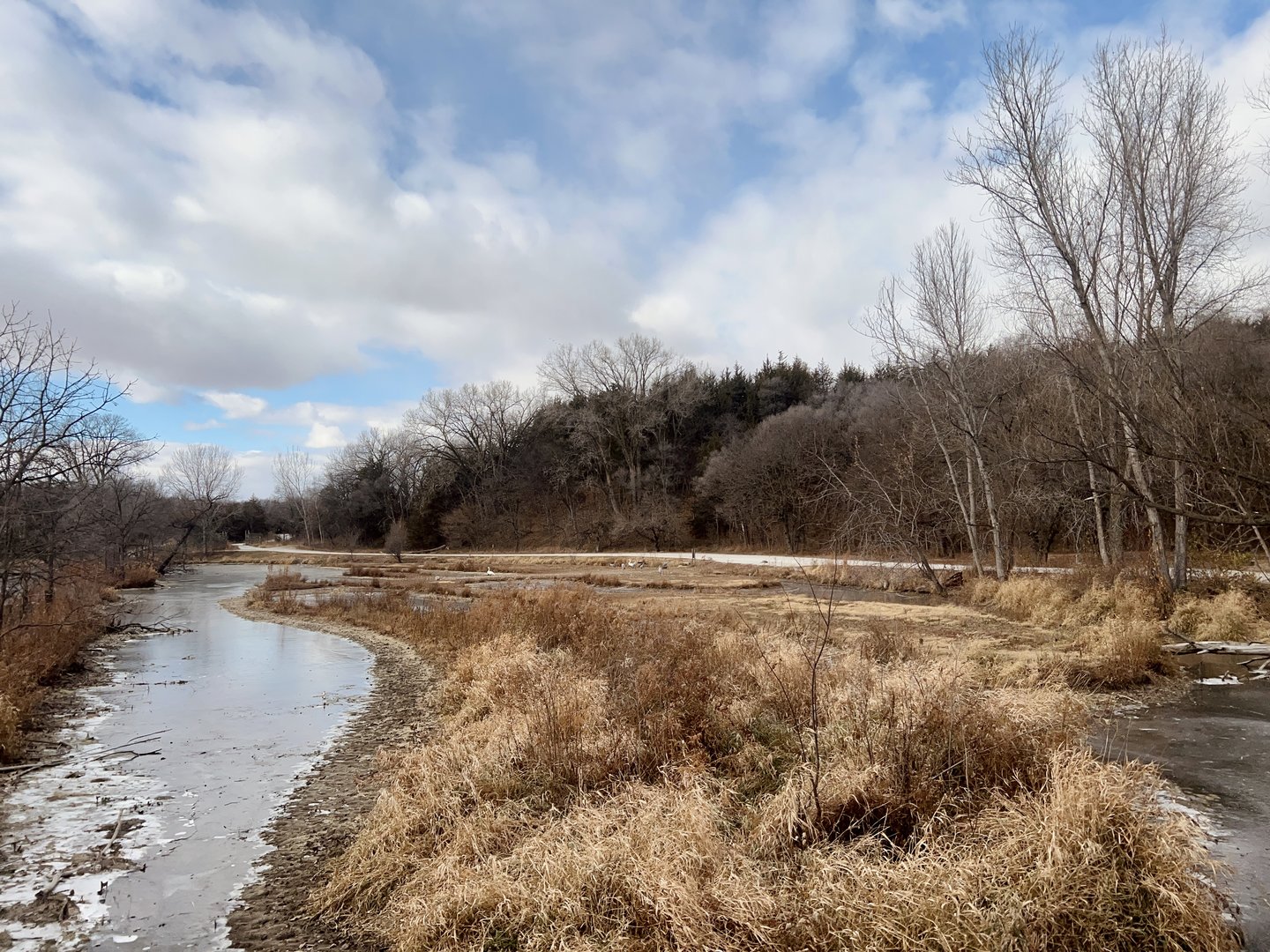 Crane and Swan Exhibit