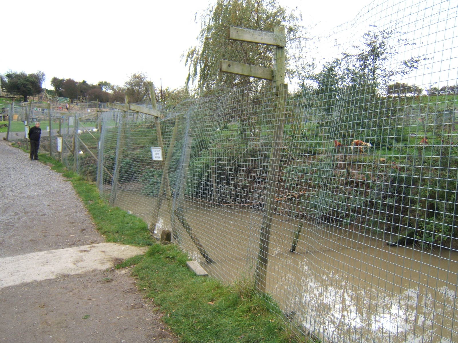 Crane and Waterfowl Enclosures