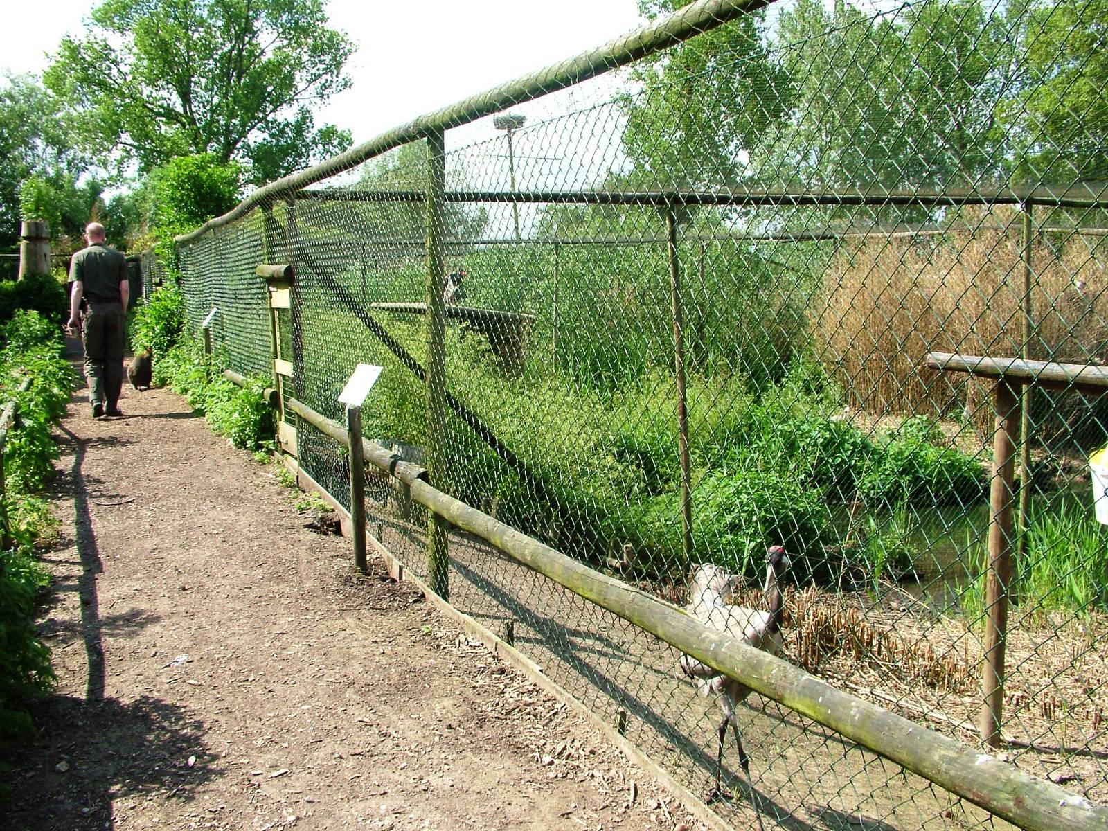 Crane Aviaries at De Paay, 02/06/12
