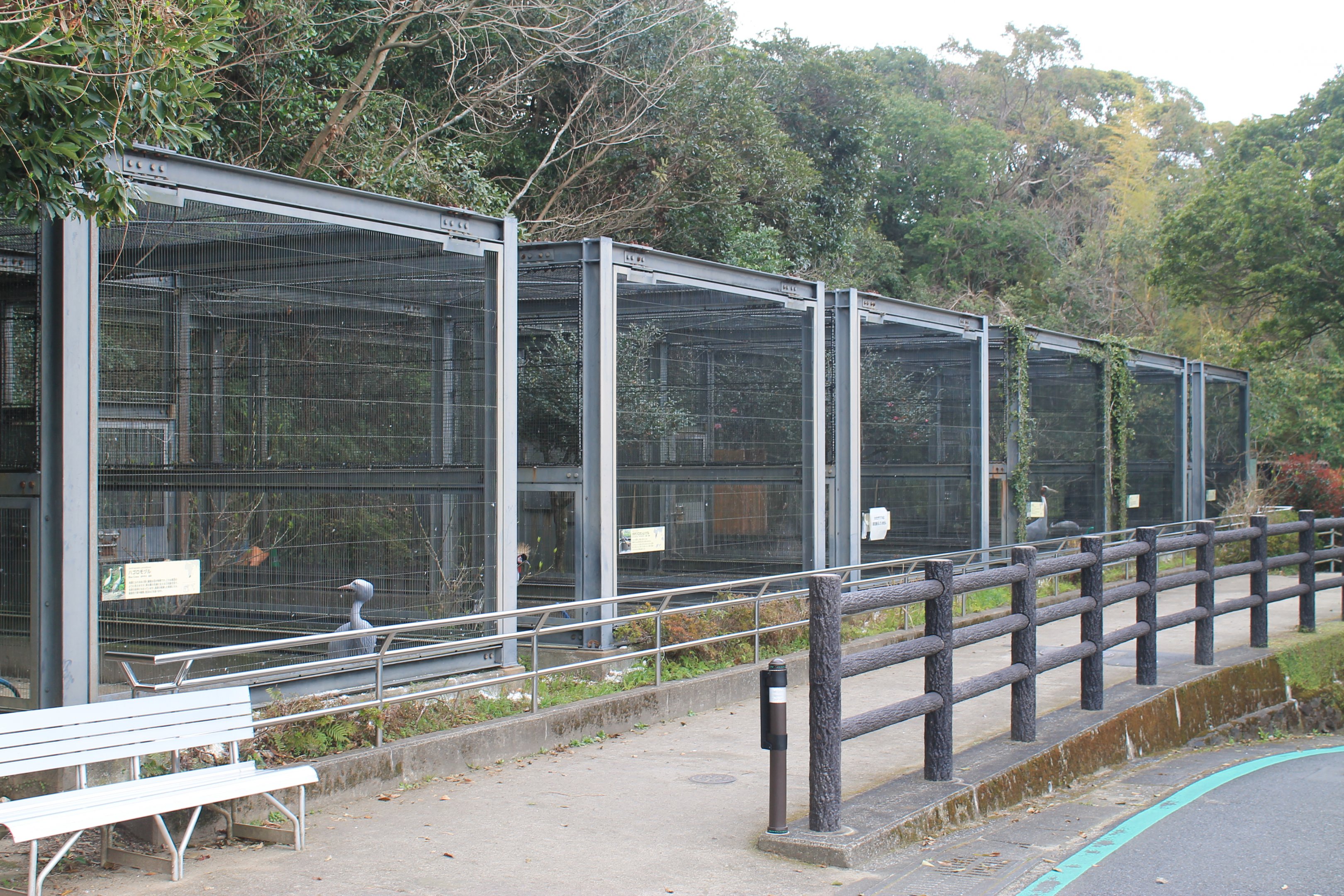 Crane aviaries - Hirakawa Zoo (Kagoshima)