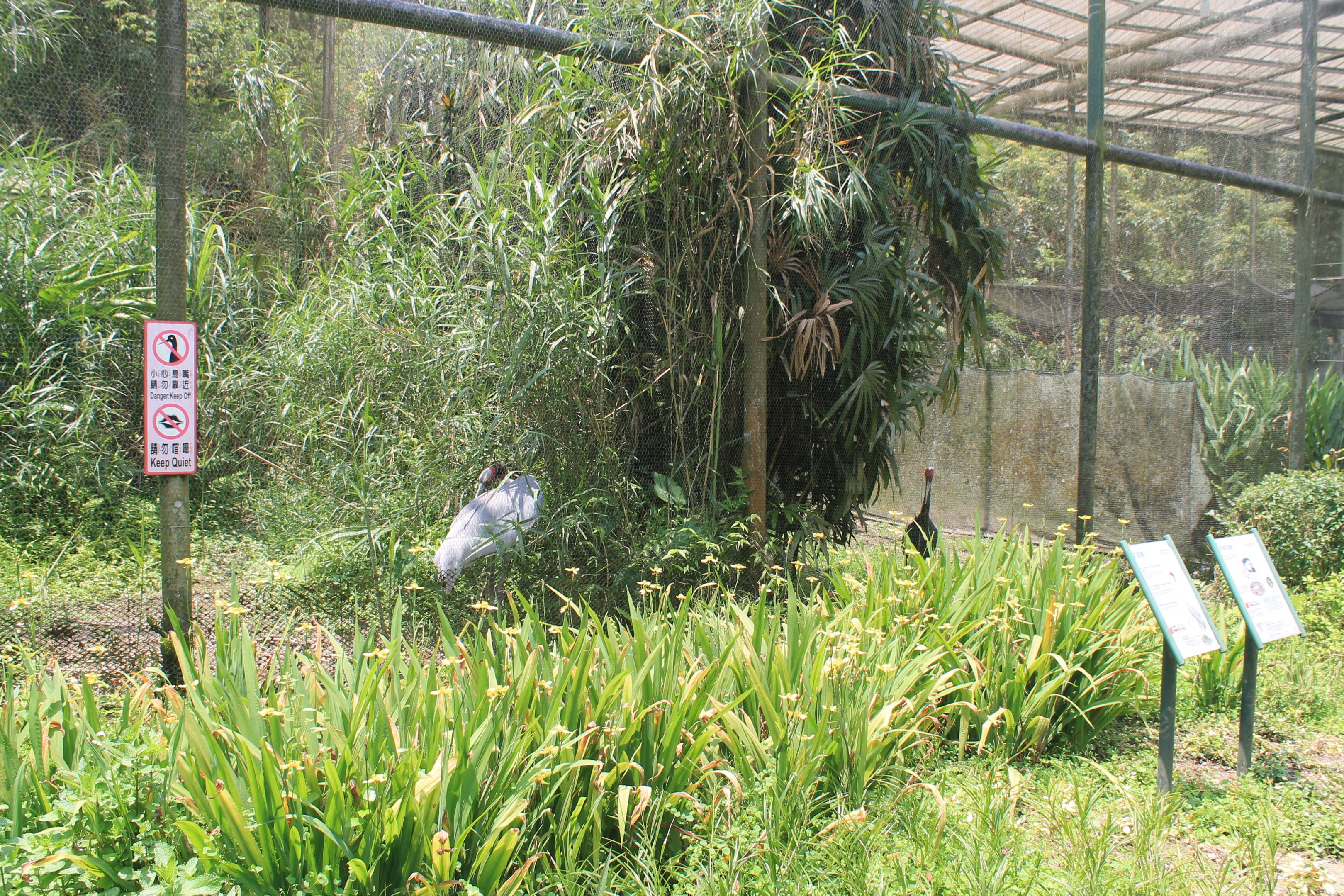 Crane aviaries