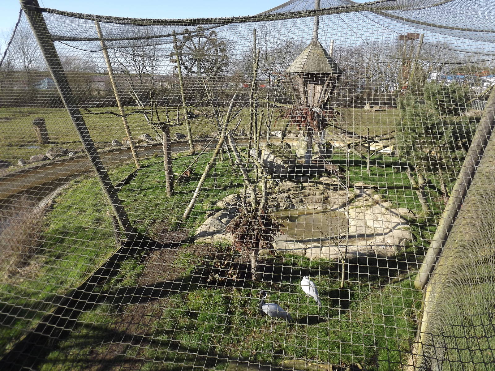Crane aviary at Flamingoland 19/02/12