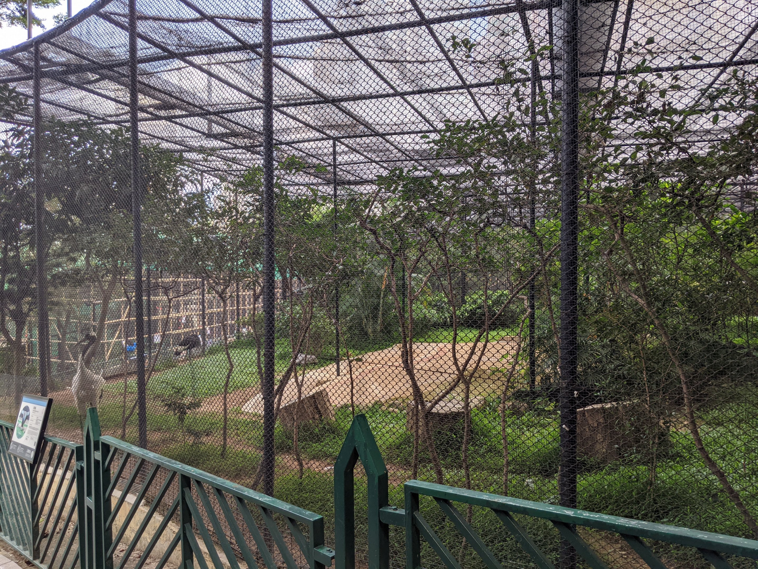 Crane aviary