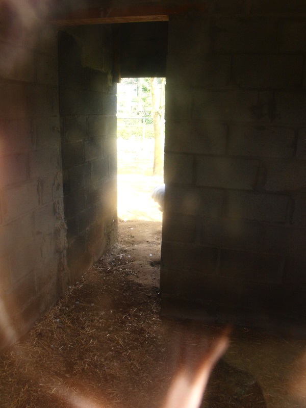 Crane barn, inside (April 19th, 2015)