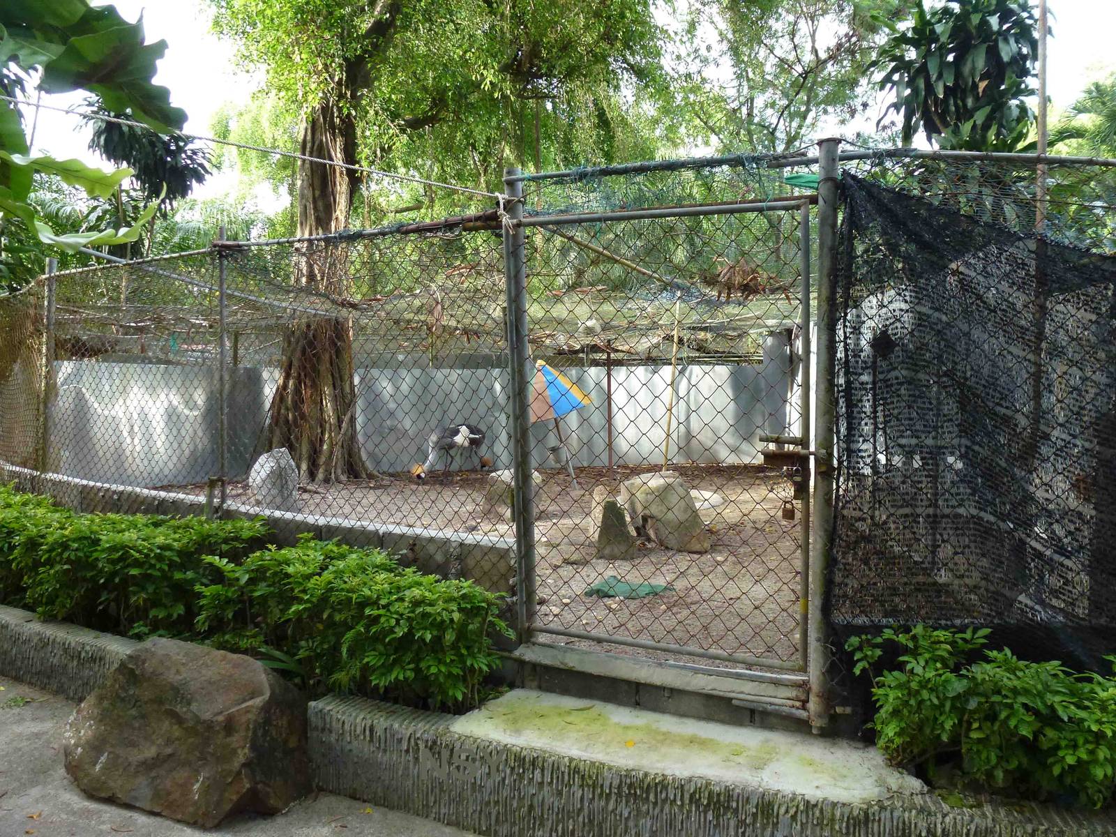 Crane breeding enclosure, June 2013.
