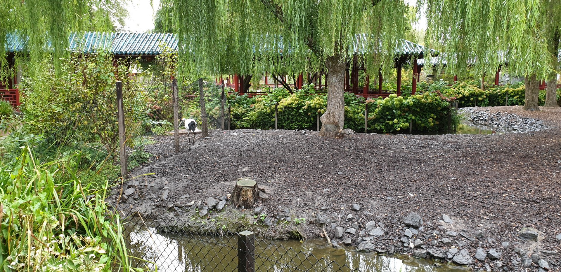 Crane - Deer enclosure