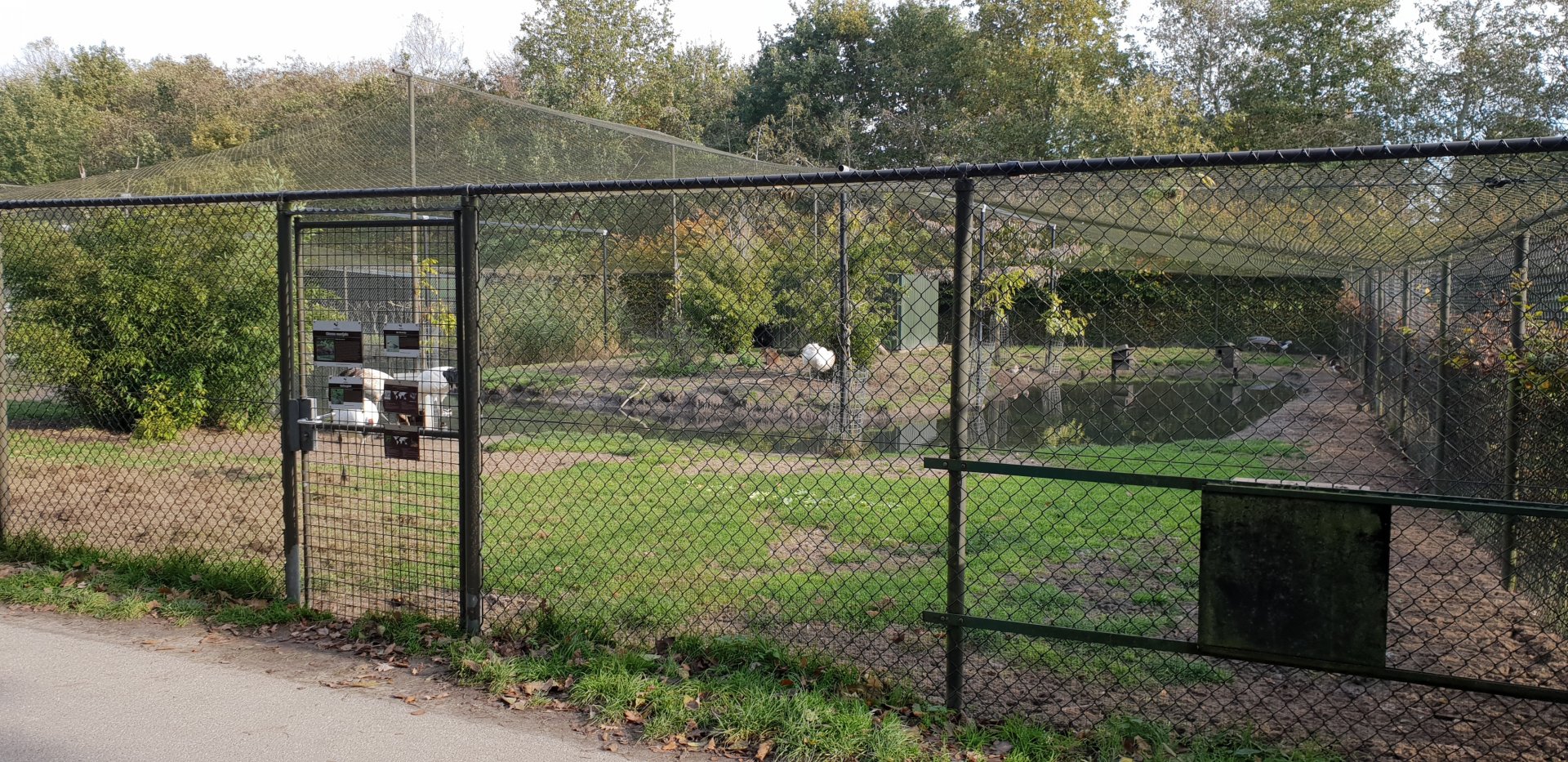 Crane - Duck - Muntjac enclosure