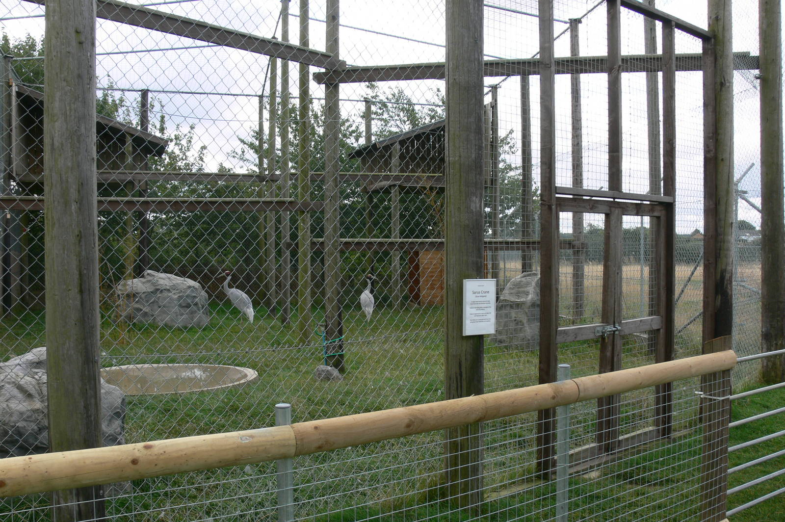 Crane Enclosure at Hamerton Zoo, 23/08/14