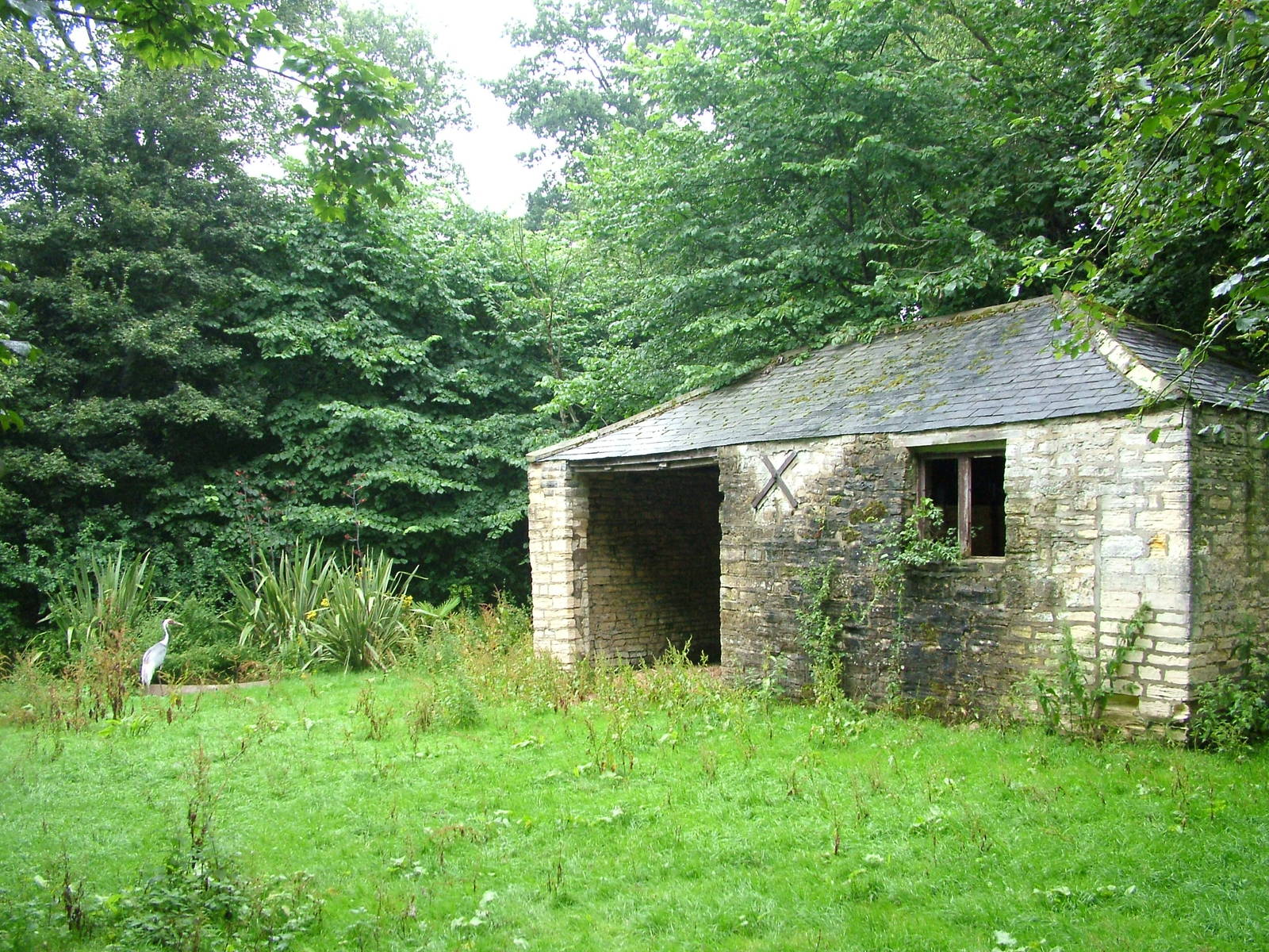 Crane enclosure at Lotherton Hall 01/08/09