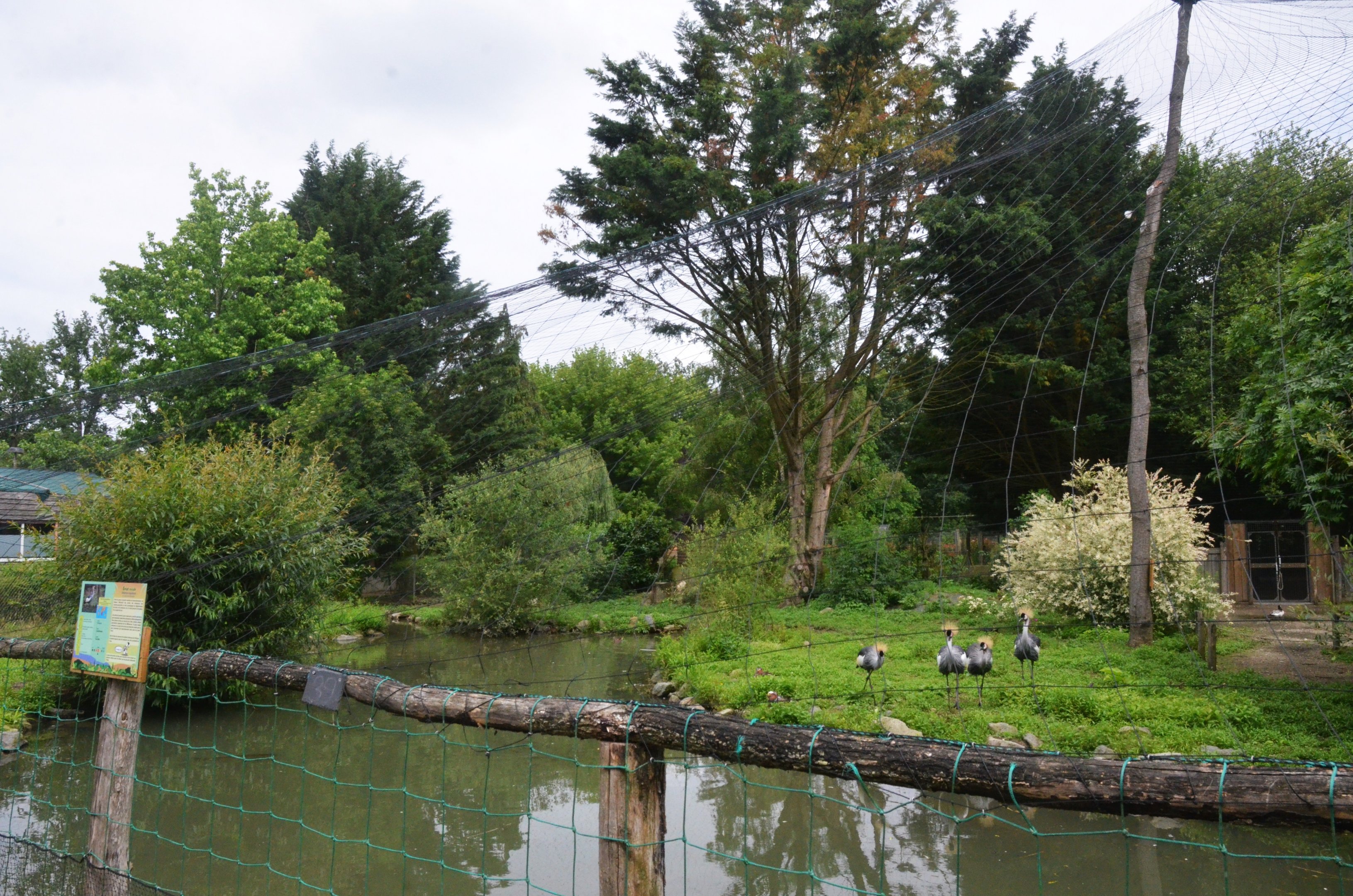 Crane Enclosure at Spaycific'Zoo, 13/06/18
