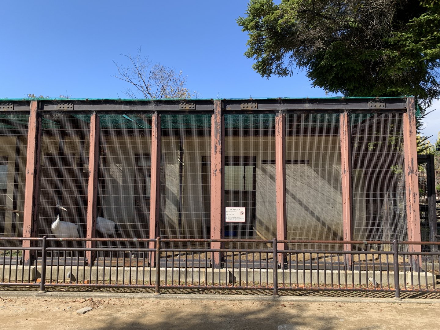 Crane Enclosure (Himeji City Zoo)