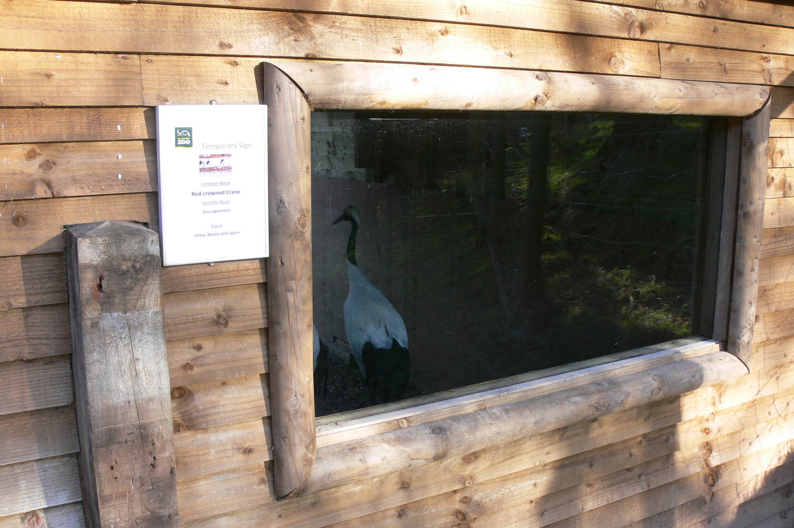 Crane Exhibit at Blackpool Zoo, 15/01/15