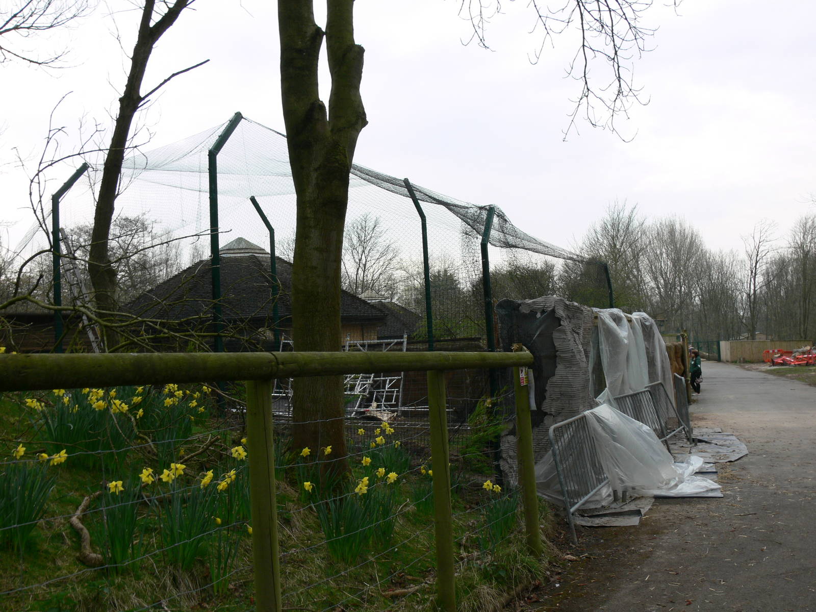Crane Exhibit at Blackpool Zoo, 30/03/14
