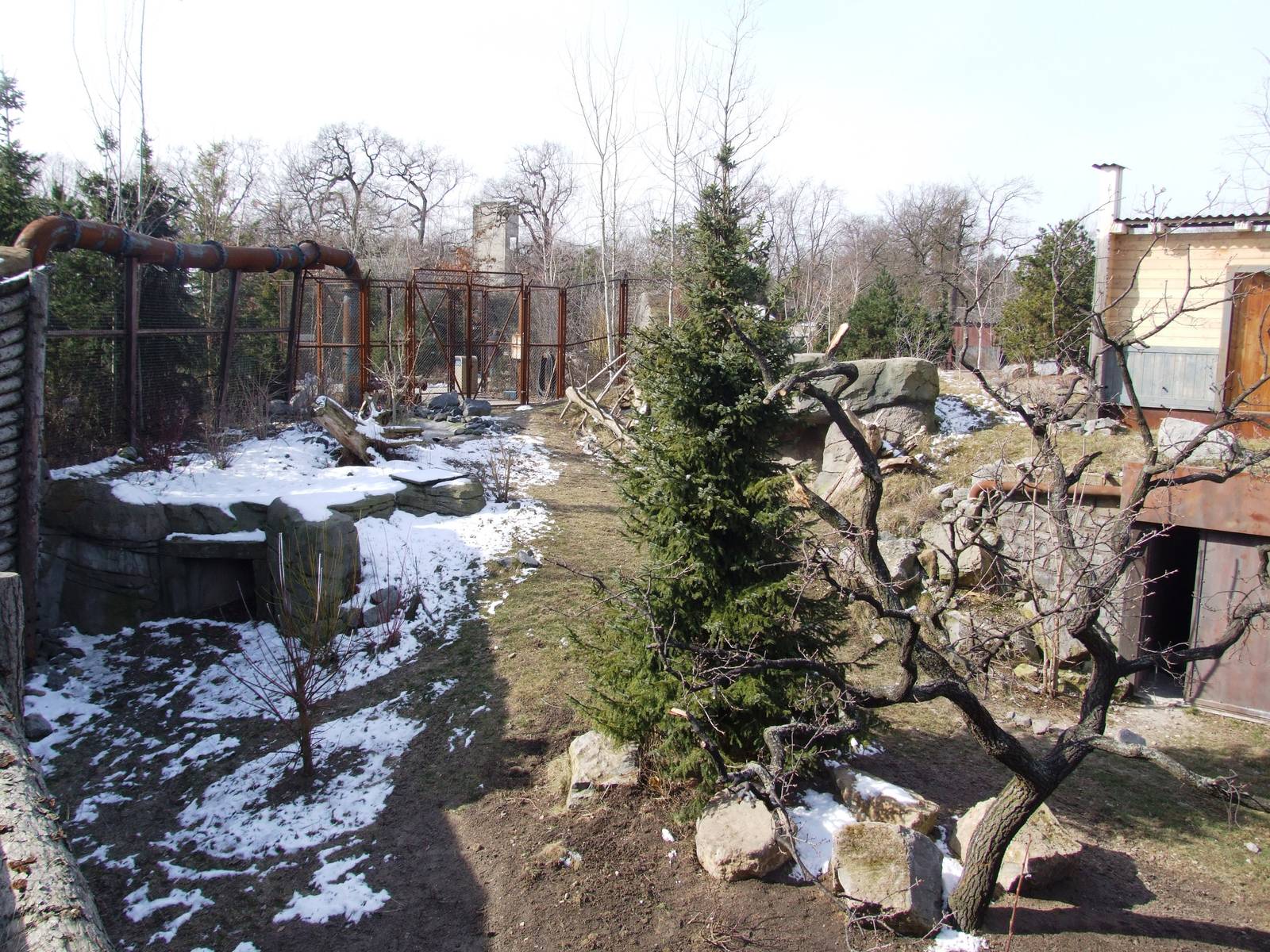 Crane Exhibit at Hannover, 23/03/13