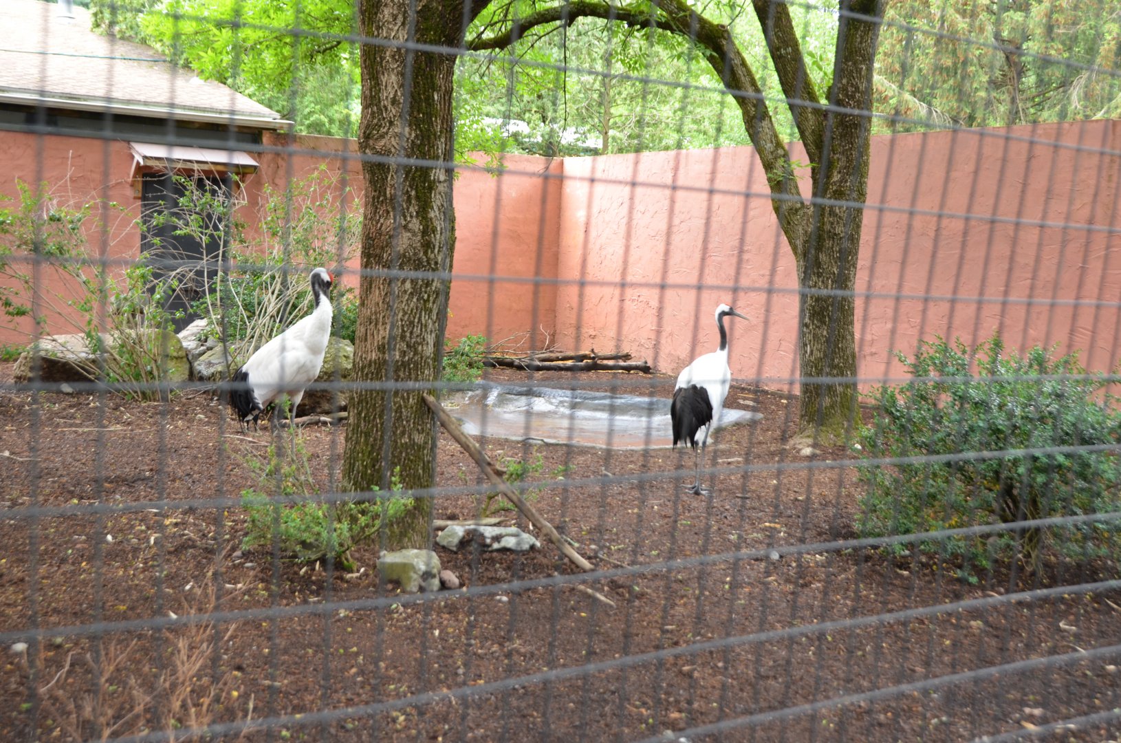 Crane Exhibit
