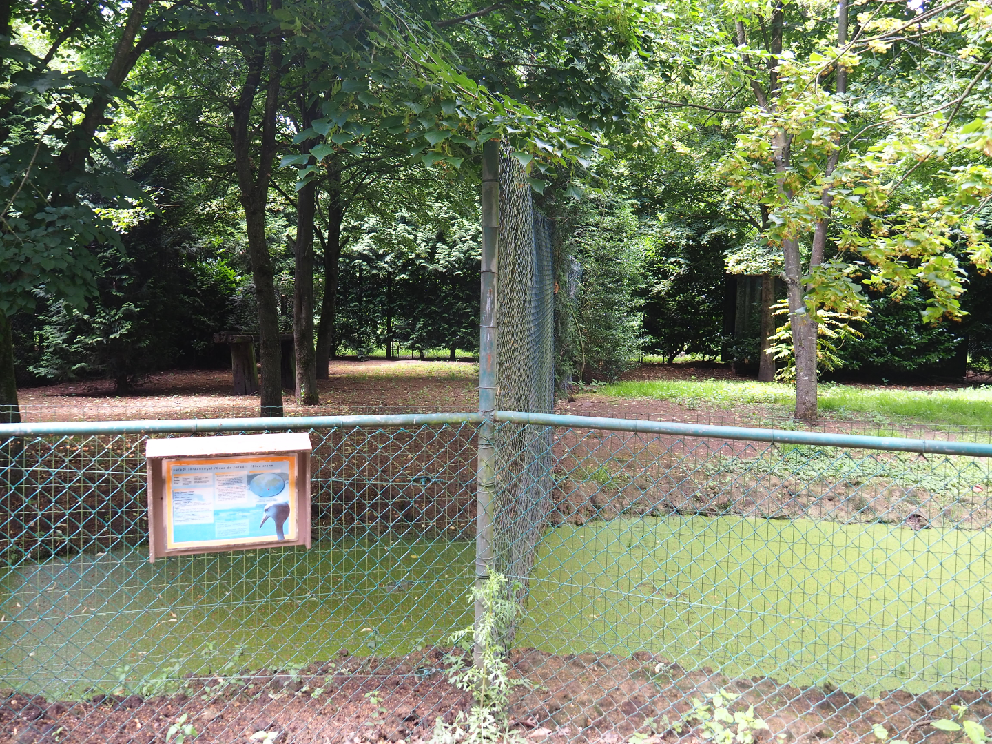 Crane exhibits, 2020-06-20