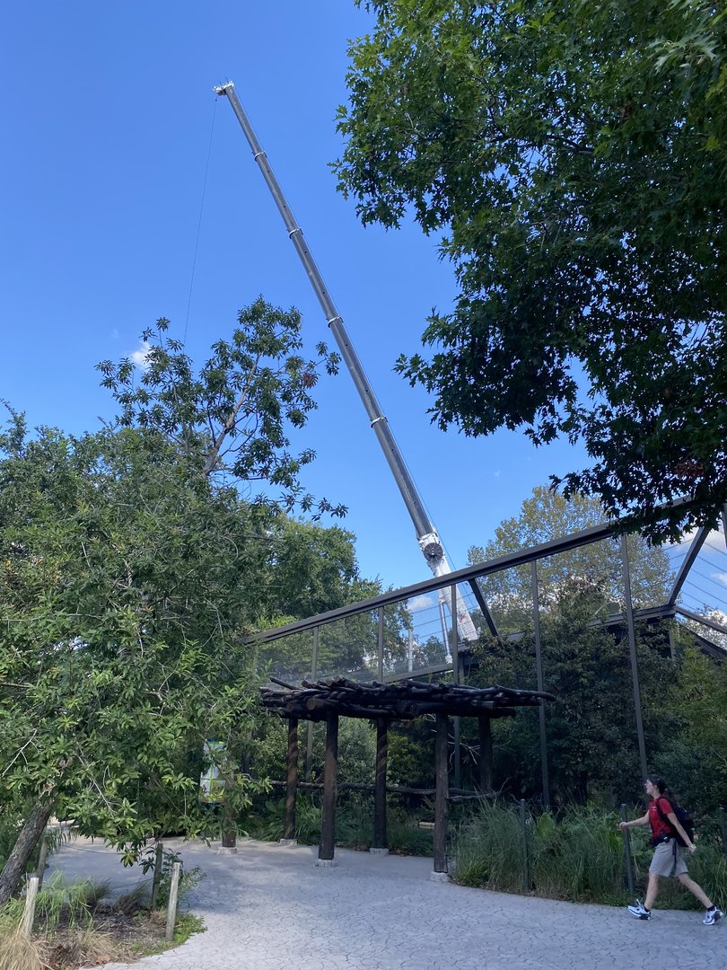 Crane for Birds of the World construction seen from the Pantanal