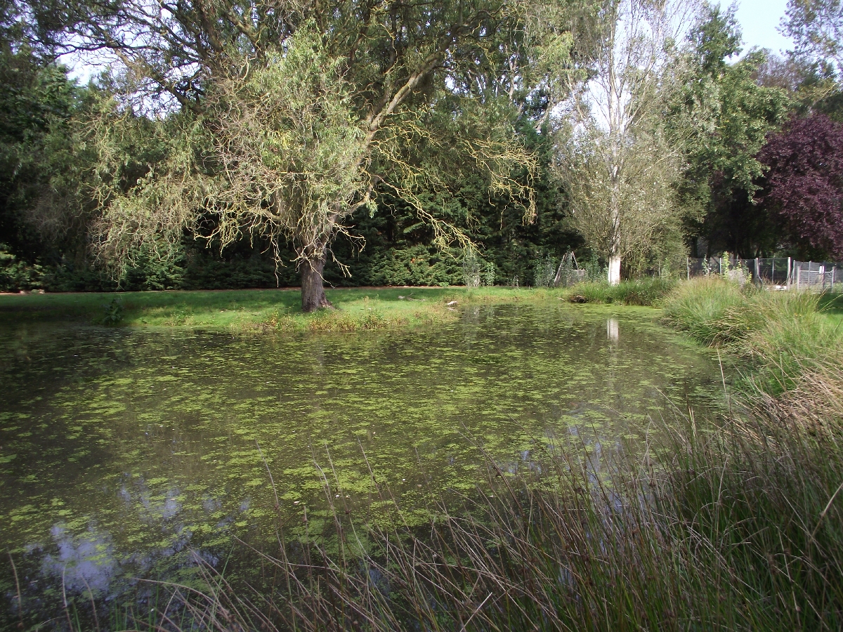 Crane/Goose Enclosure #2