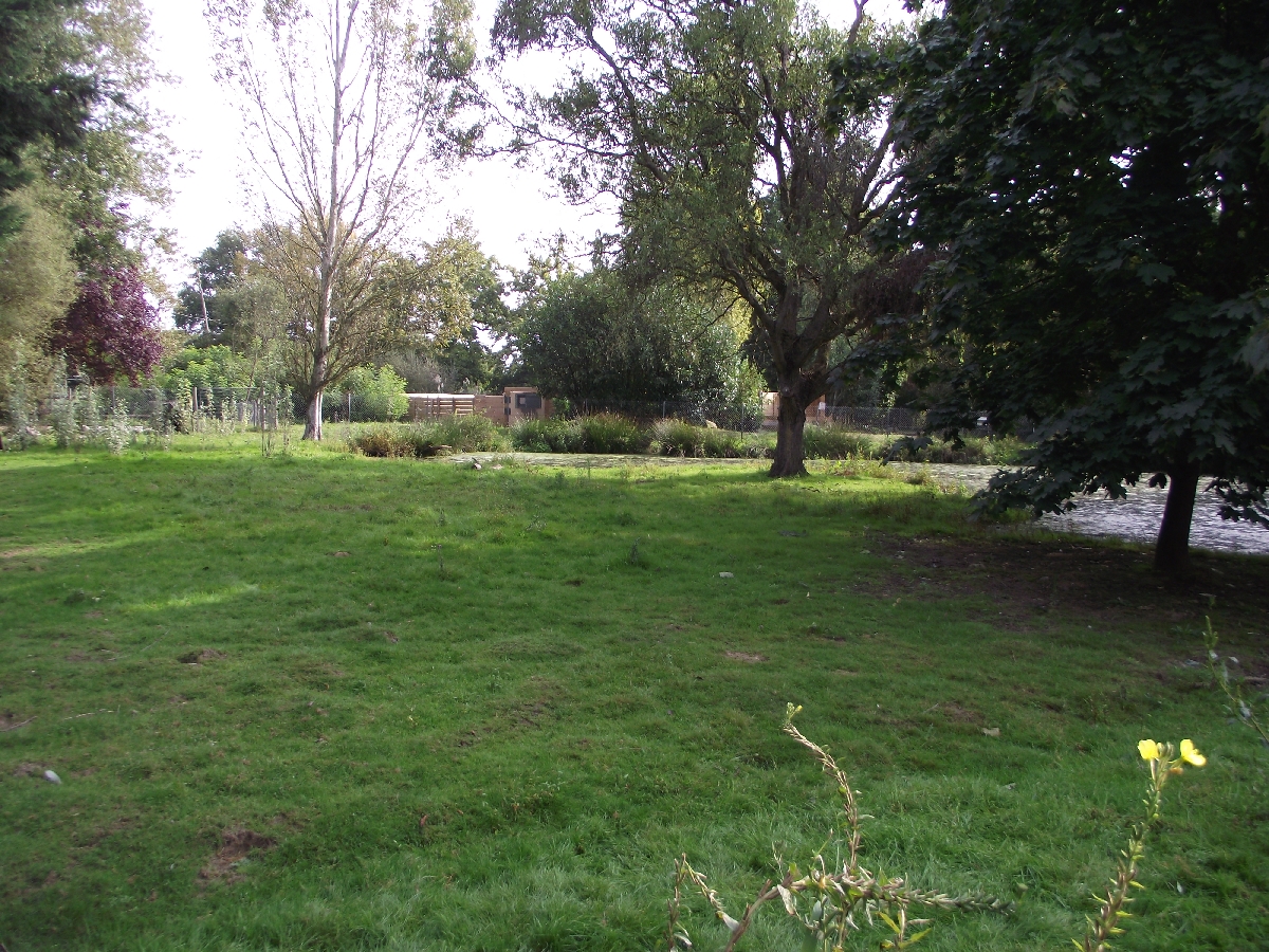 Crane/Goose Enclosure #3