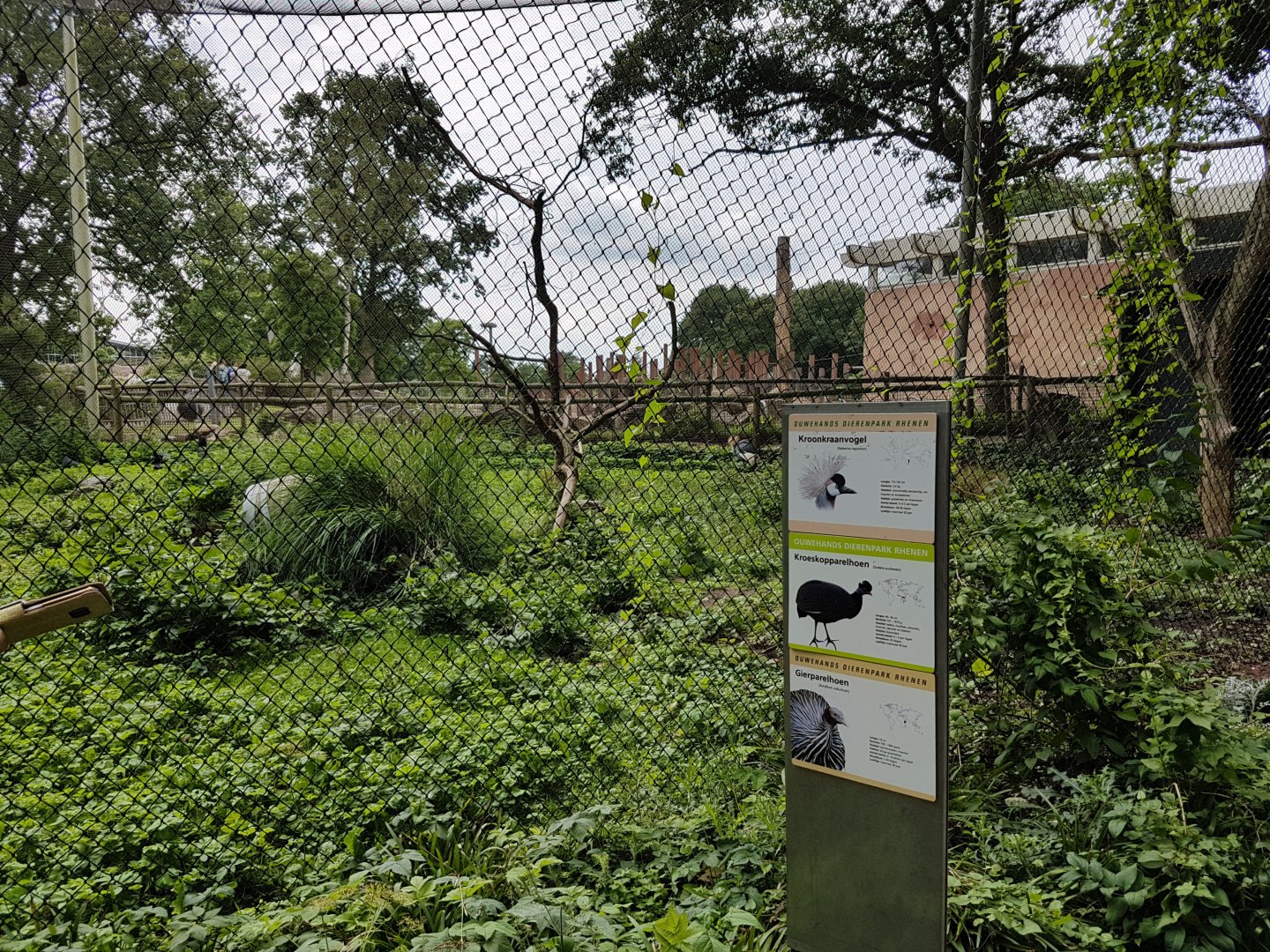 Crane - Guineafowl enclosure and signs