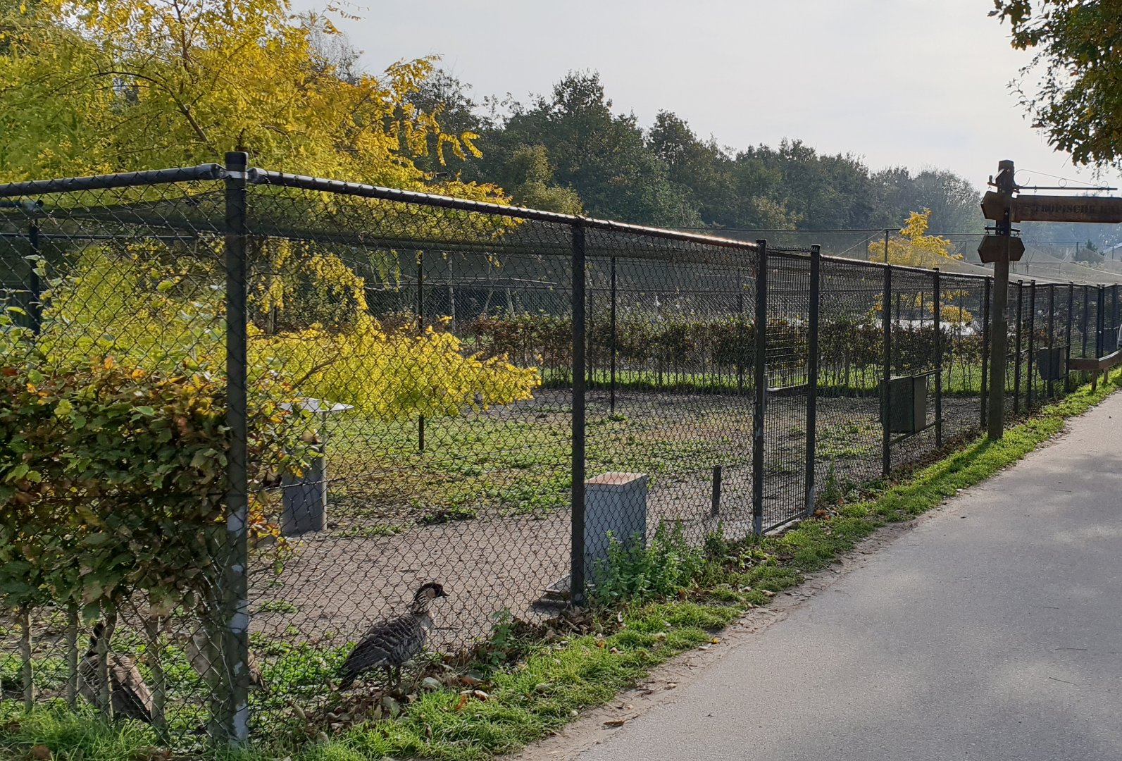 Crane - Hawaii goose enclosure