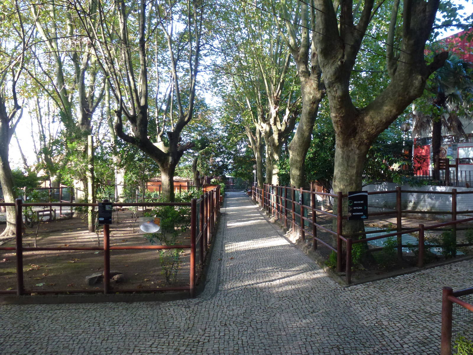 Crane paddocks, November 2013.