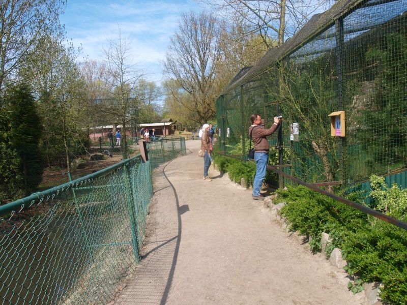 Crane Promenade and Raptor Route (April 19th, 2015)