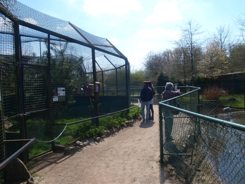 Crane Promenade and Raptor Route (April 19th, 2015)