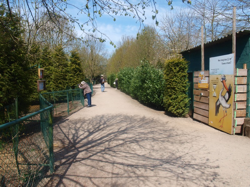 Crane Promenade, second part (April 19th, 2015)