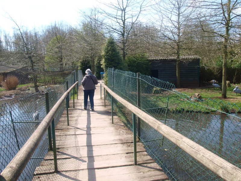 Crane Promenade, visitor bridge (April 19th, 2015)