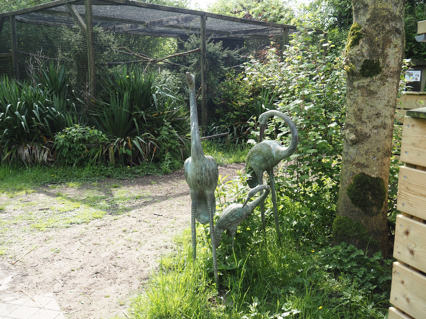 Crane statues and Chaco owl aviary, 2024-05-11