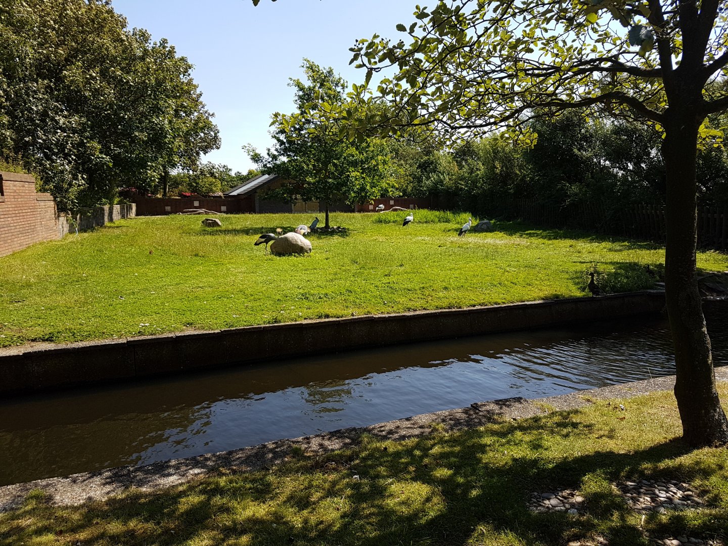 Crane - Stork enclosure