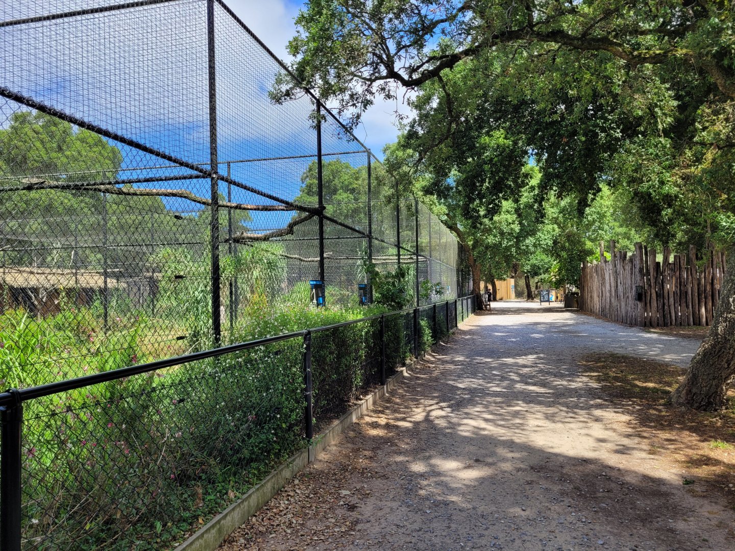 Crane, stork, hornbill... aviary row -Zoo de Labenne (2024)