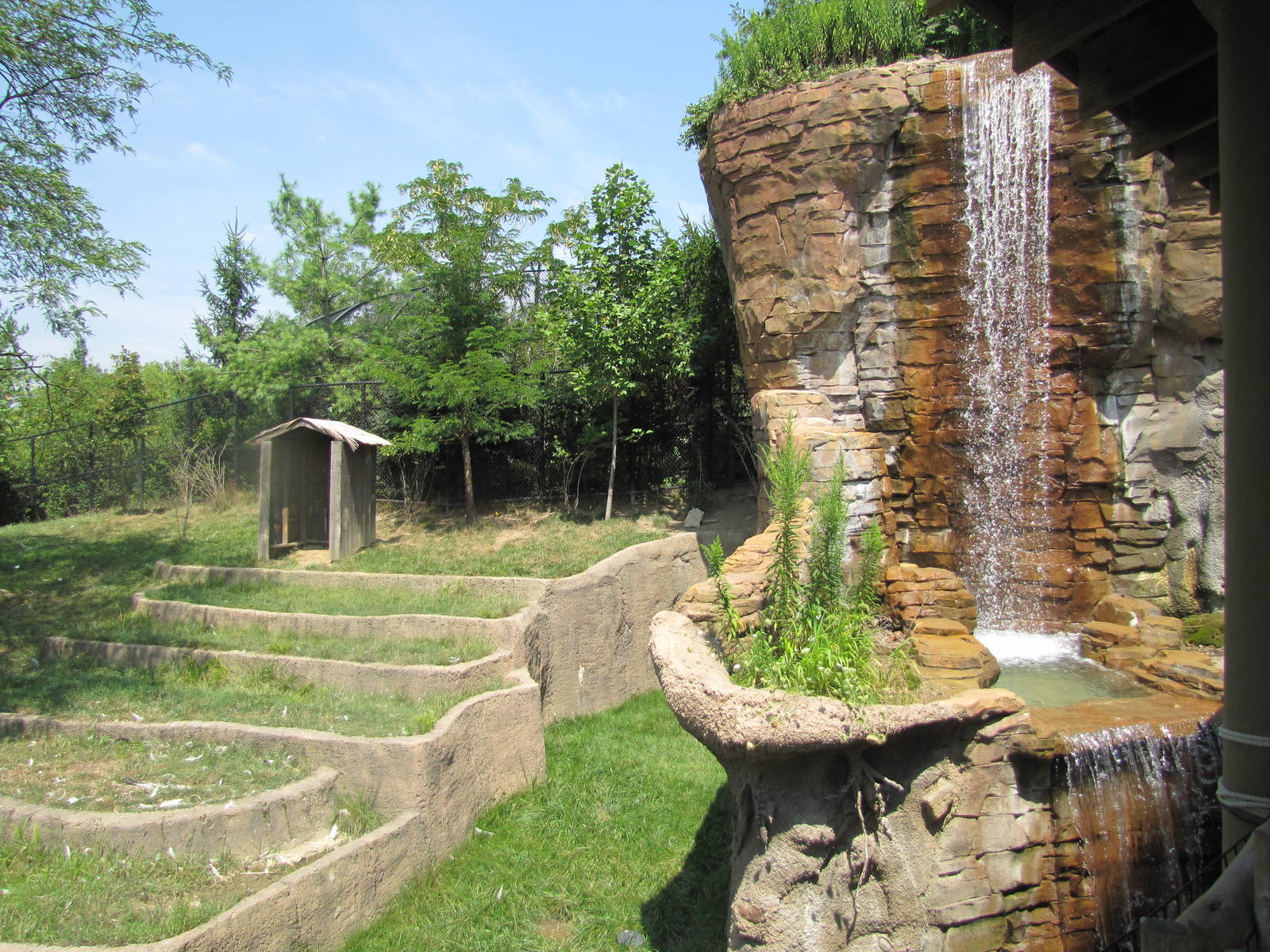 Crane/Tufted Deer Exhibit