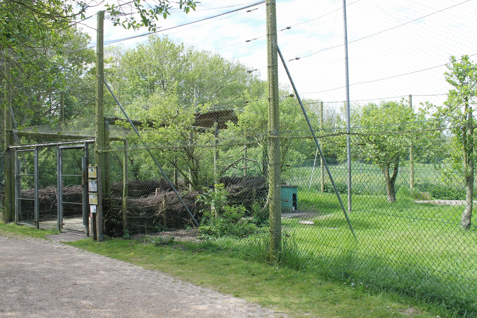Crane - Vulture Aviary