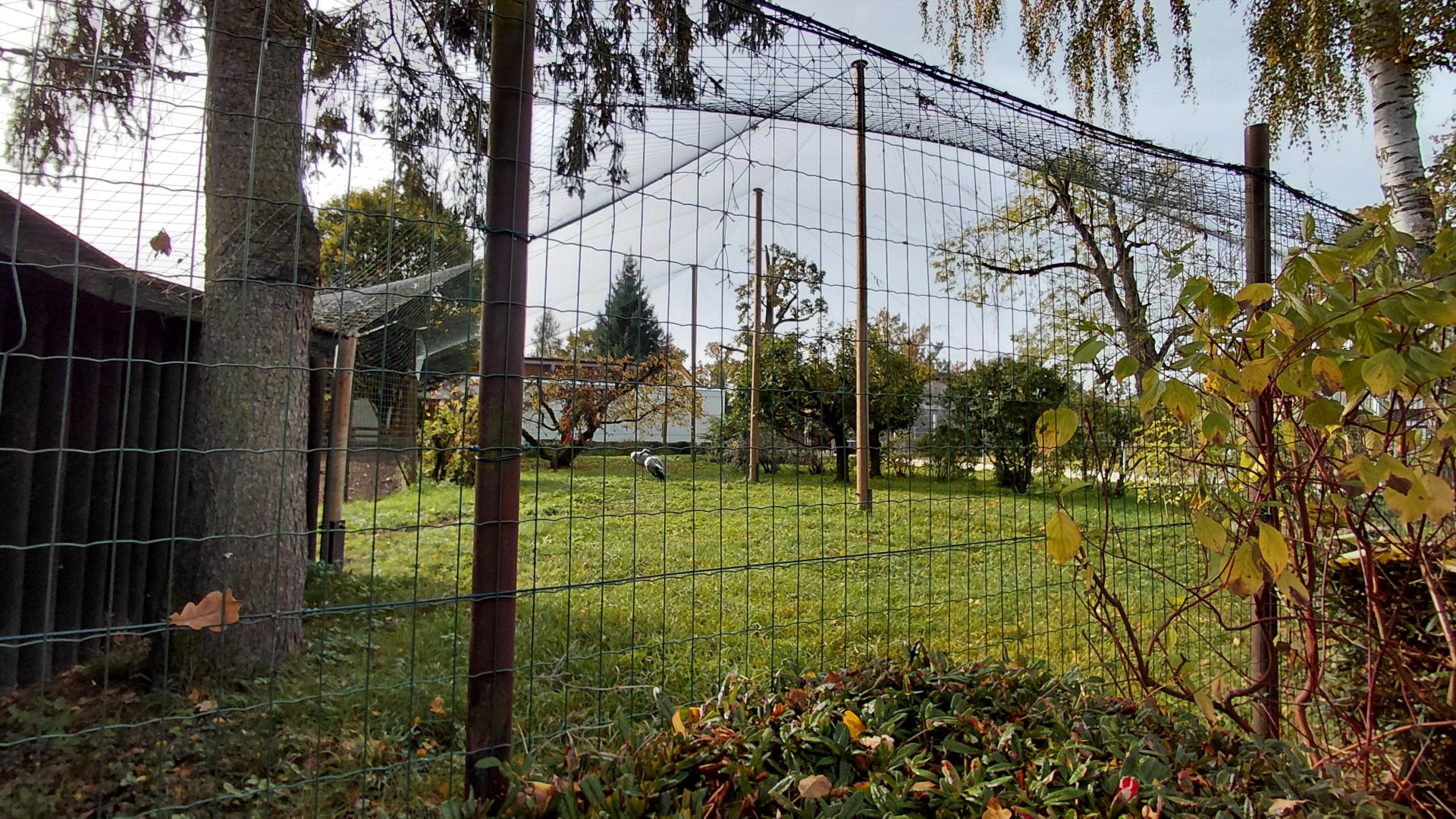 Crane + waterfowl aviary