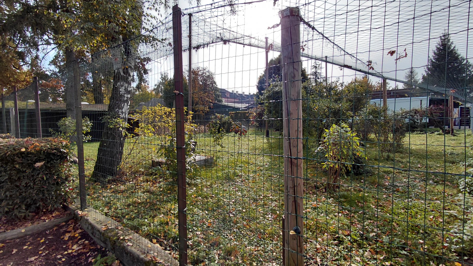 Crane + waterfowl aviary